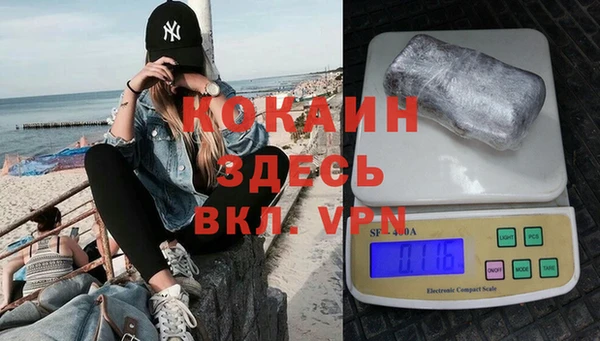 сатива Володарск