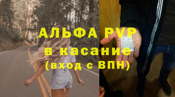 сатива Володарск
