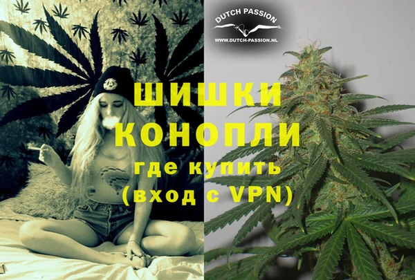 сатива Володарск