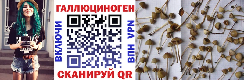 Псилоцибиновые грибы мицелий  Электрогорск 